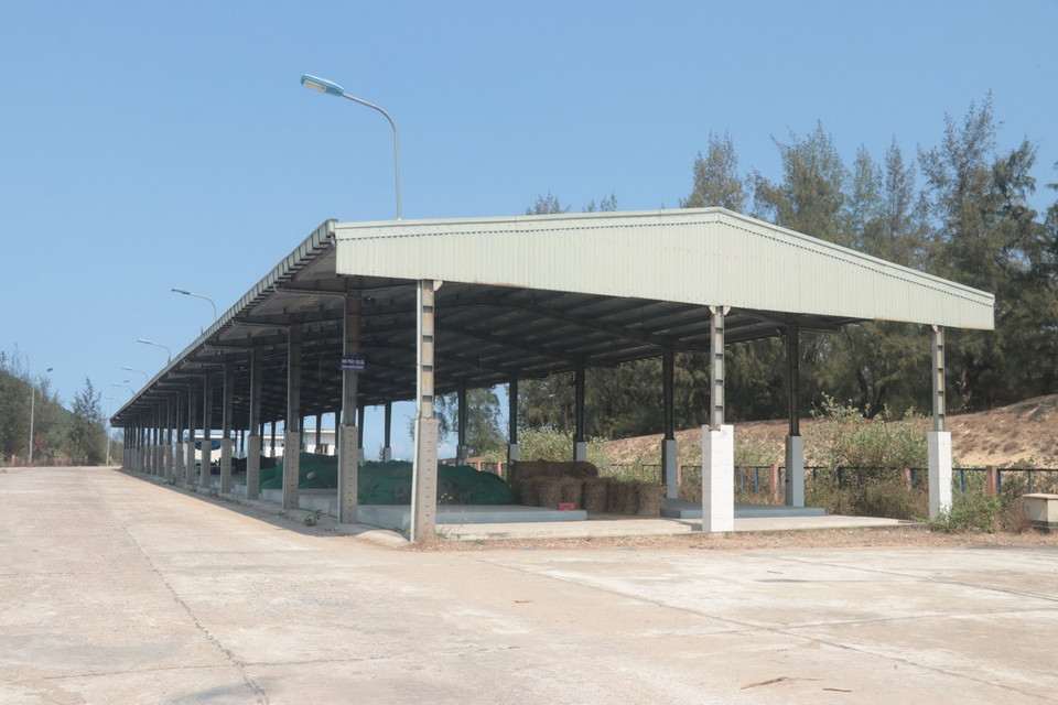 Bến cá được đầu tư bài bản với hệ thống nhà lồng để làm nơi buôn bán. (Ảnh: TTXVN phát)