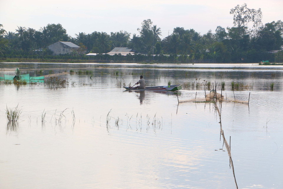 Người dân bơi thuyền trên cánh đồng ngập lũ. (Ảnh: Duy Khương/TTXVN)