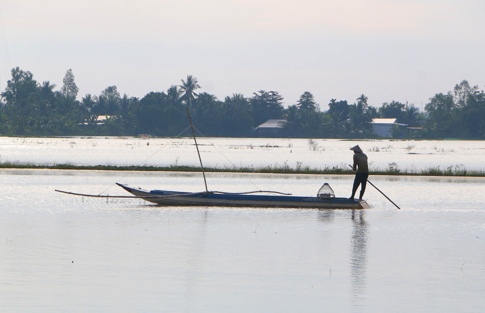 Cánh đồng mùa lũ tại huyện Vị Thủy, tỉnh Hậu Giang. (Ảnh: Duy Khương/TTXVN)