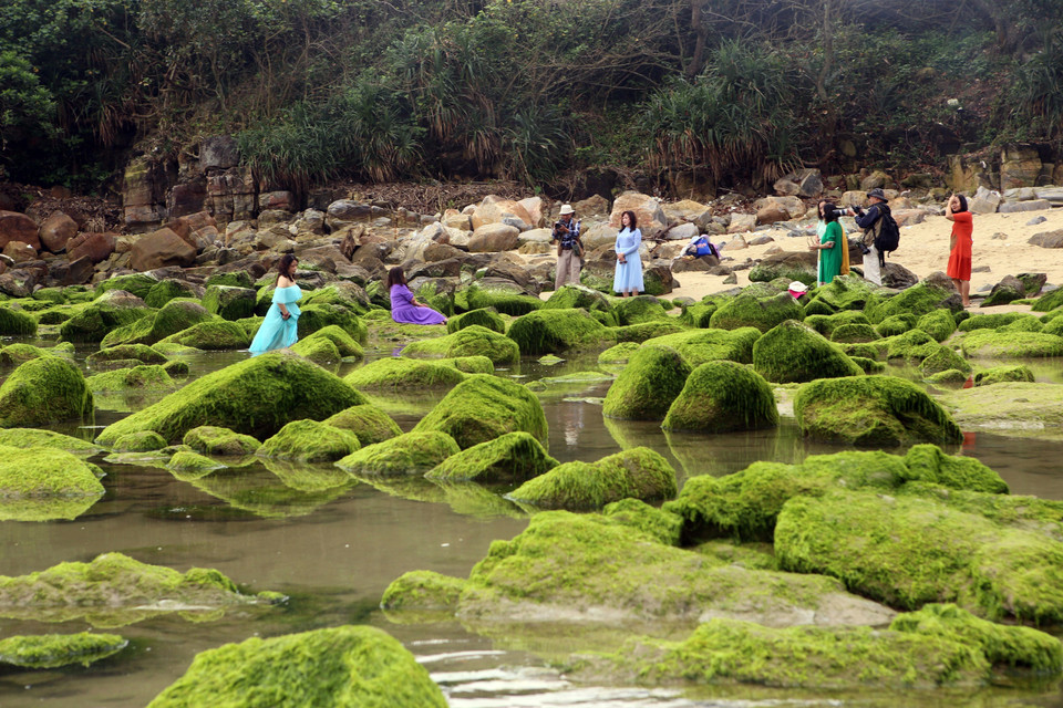 Người dân, du khách hào hứng đến chụp ảnh với bãi đá rêu mỗi khi thủy triều rút. (Ảnh: Trần Lê Lâm/TTXVN)
