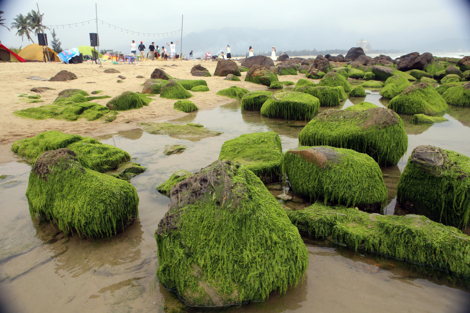 Rêu xanh phủ đầy lên những tảng đá tạo nên những hình thù lạ mắt. (Ảnh: Trần Lê Lâm/TTXVN)