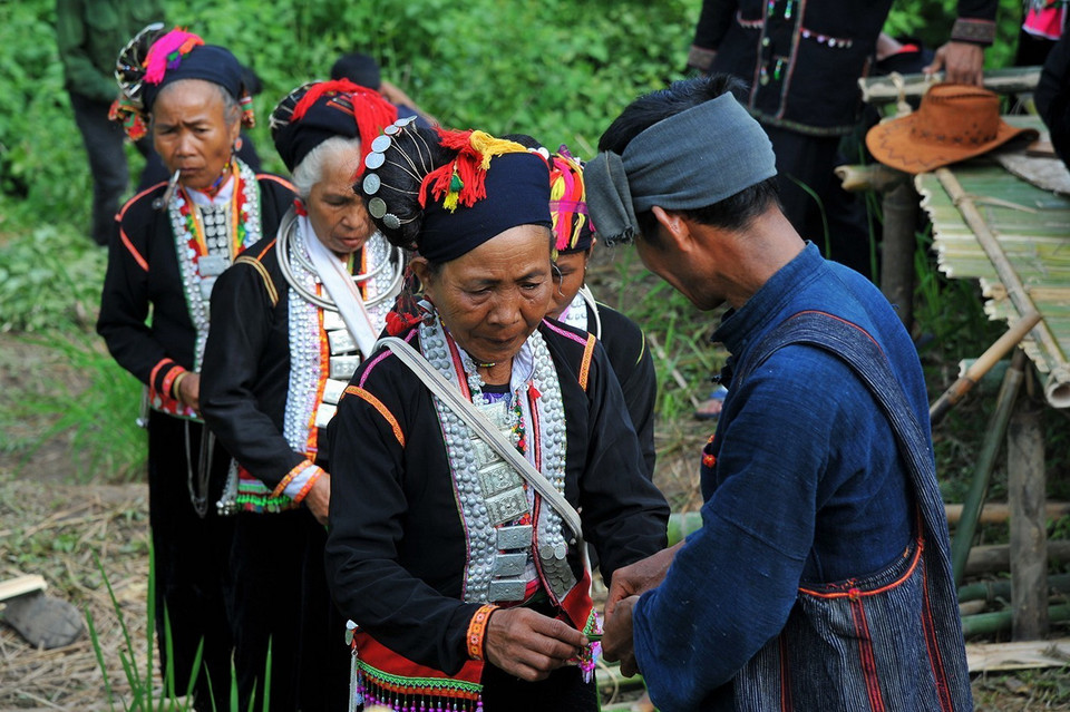 Dân bản nộp cây giống cho thầy cúng. (Ảnh: Phan Tuấn Anh/TTXVN)