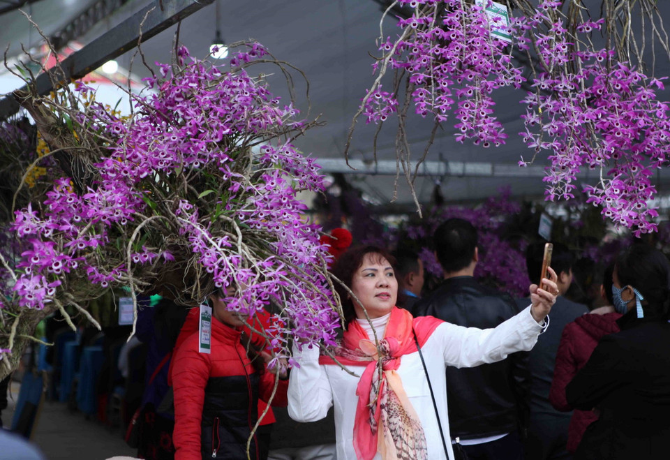 Du khách tranh thủ ghi lại cho mình những hình ảnh với hoa Lan tại triển lãm. (Ảnh: Quý Trung/TTXVN)