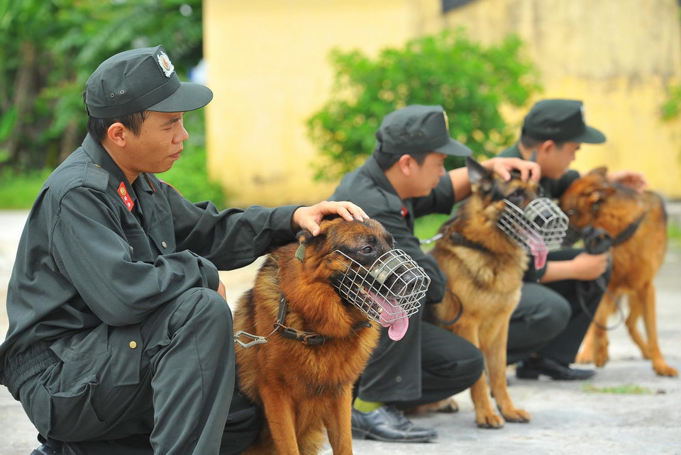 Cán bộ chiến sỹ Đội huấn luyện và sử dụng động vật nghiệp vụ với những "người bạn" đồng hành trong công việc. (Ảnh: Minh Đức/TTXVN)