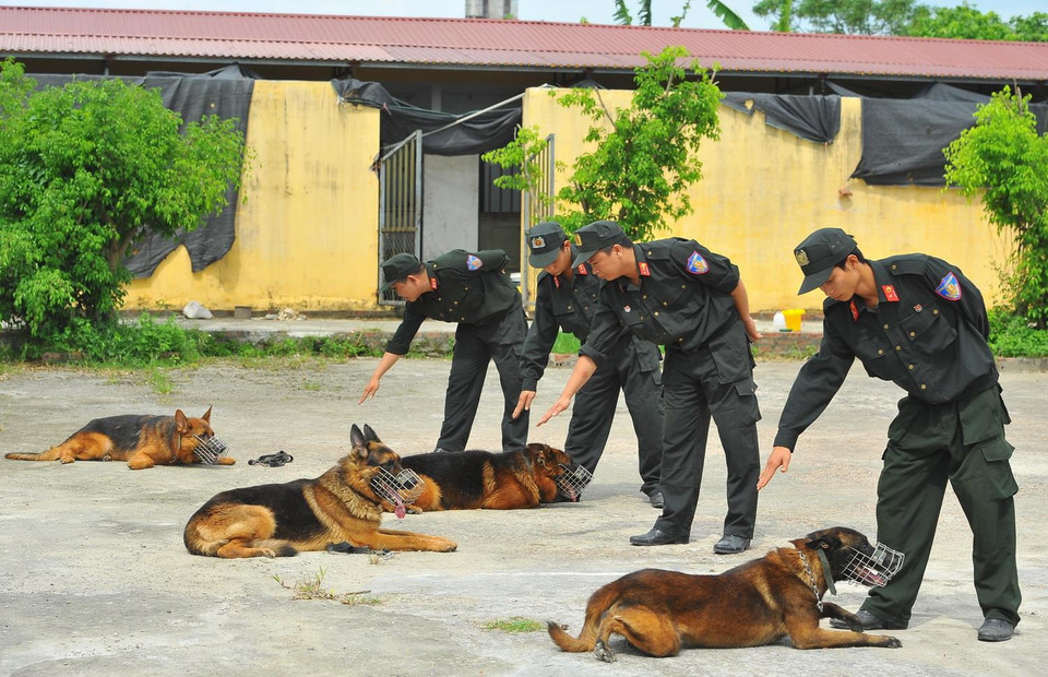 Cán bộ chiến sỹ Đội huấn luyện và sử dụng động vật nghiệp vụ với những bài tập thường ngày. (Ảnh: Minh Đức/TTXVN)