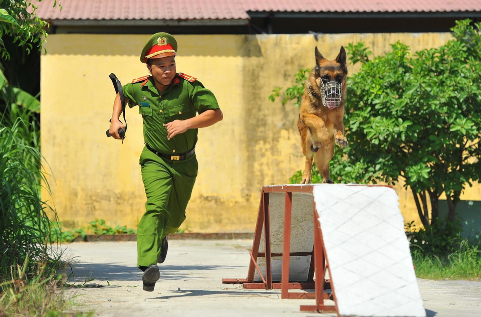 Cán bộ chiến sỹ Đội huấn luyện và sử dụng động vật nghiệp vụ với những bài tập thường ngày. (Ảnh: Minh Đức/TTXVN)