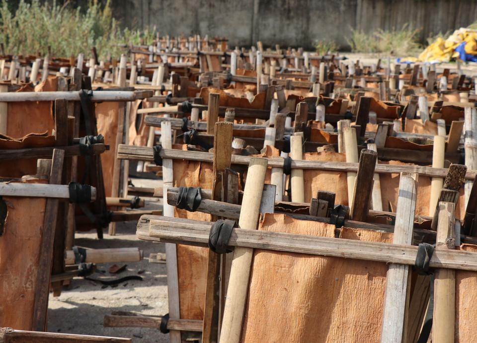 Vỏ quế tươi được phơi khô trước khi chế biến. (Ảnh: Phạm Cường/TTXVN)