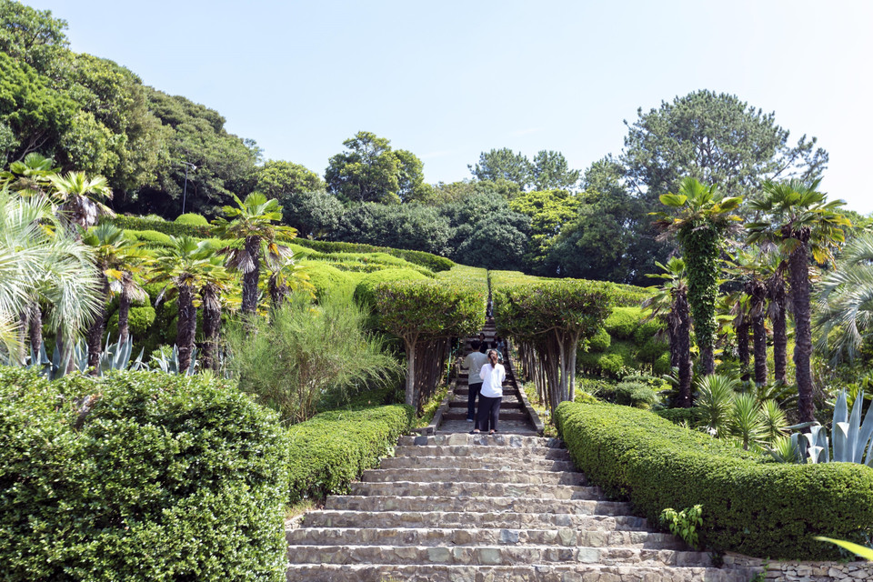 Lối mòn mang tên "Nấc thang lên Thiên đường" có phong cách như khu vườn Venus của phương Tây với hai hàng cây Retinispora được cắt tỉa tỉ mỉ. (Ảnh: Anh Nguyên/TTXVN)