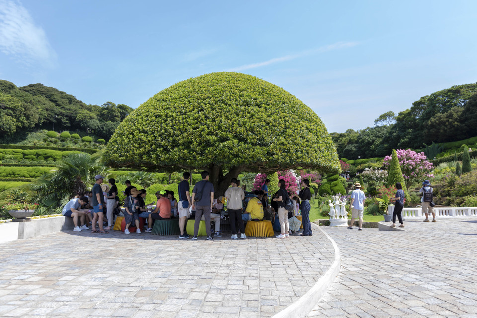Khách thăm quan Oedo-Botania như được sống chậm lại giữa thiên nhiên cùng những công trình điêu khắc bằng đá hoa cương, bước chậm rãi dọc con đường mòn dài 1,3km để hít thở không khí trong lành và khám phá nhiều loài thực vật được phân loại theo chủ đề. Trong ảnh: Khách thăm quan Oedo-Botania có cơ hội dừng chân nghỉ ngơi dưới những tán cây được cắt tỉa rất đẹp. (Ảnh: Anh Nguyên/TTXVN)