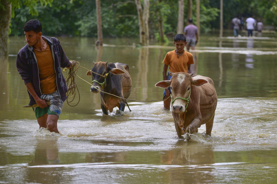 Mưa lớn kéo dài nhiều ngày qua tại bang Assam, miền Đông Bắc Ấn Độ, đã khiến hơn 500.000 người phải rời nhà đi lánh nạn. Do mưa lớn, nước sông Brahmaputra đã tràn bờ gây ngập lụt hơn 1.500 làng xã. Trong ảnh: Cảnh ngập lụt do mưa lớn tại làng Bakula Guri, bang Assam, Ấn Độ, ngày 15/5. (Ảnh: THX/TTXVN)