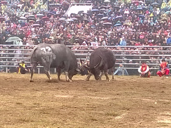 Màn tranh tài nghẹt thở. (Ảnh: Hùng Võ/Vietnam+)