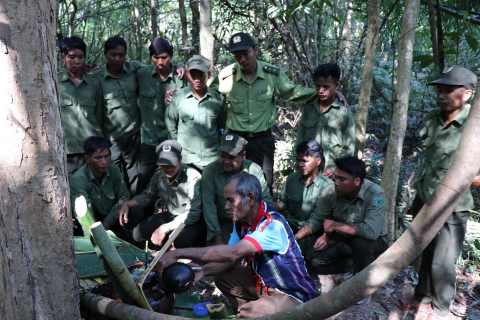 Đây là một trong những nghi lễ quan trọng trong tục cúng Rừng - nét văn hóa độc đáo của người dân tộc thiểu số tại Tây Nguyên nói chung và tỉnh Gia Lai nói riêng. (Ảnh: Hồng Điệp/TTXVN)
