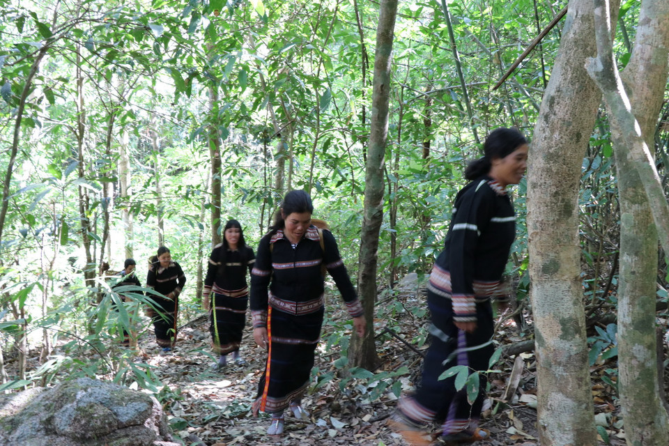 Dân làng Ograng, xã Ia Pếch, huyện Ia Grai gùi nước về làm lễ cúng Rừng. (Ảnh: Hồng Điệp/TTXVN)