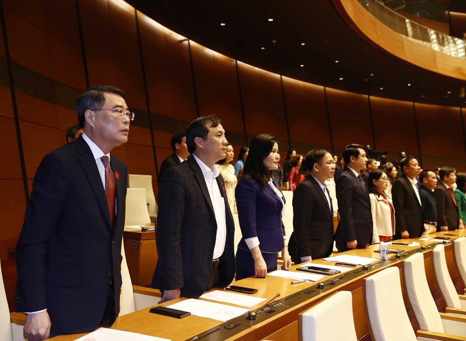 Các đại biểu thực hiện nghi thức chào cờ. (Ảnh: TTXVN)