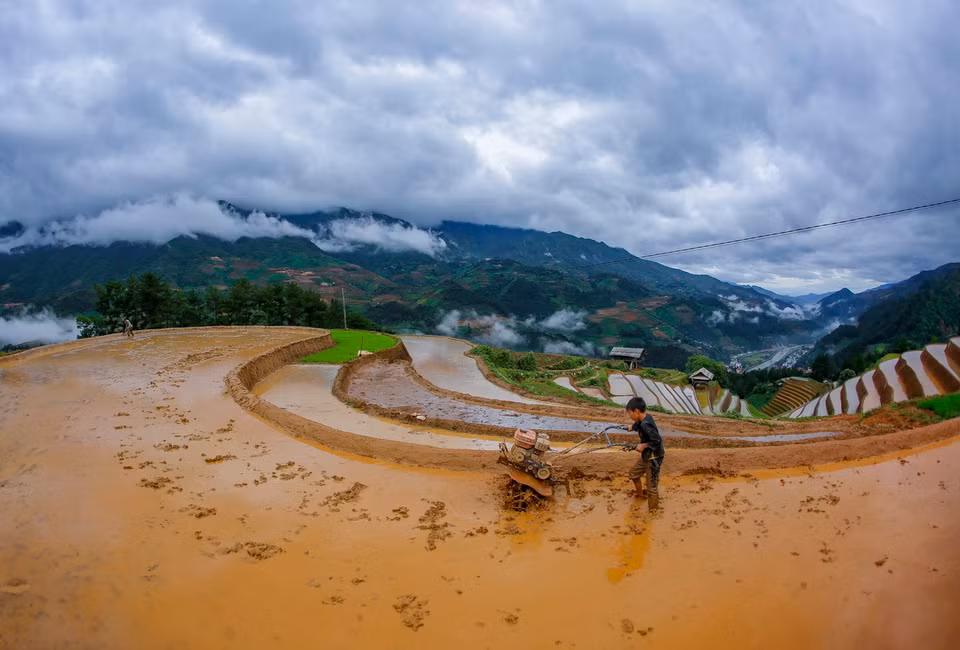 Công việc thuần nông tuy vất vả sớm hôm, nhưng cái mong nhất của nông dân là chờ nước đổ về để tranh thủ cầy cấy cho đúng vụ. (Ảnh: Tuấn Anh/TTXVN)