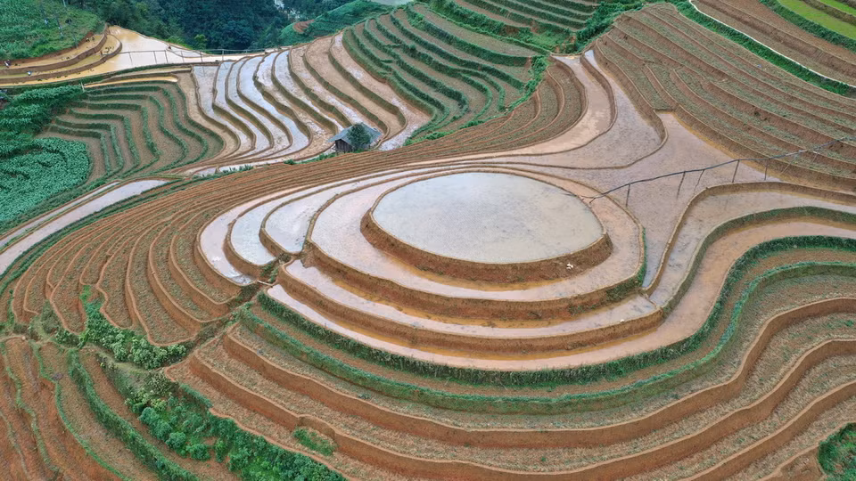 Kinh nghiệm làm ruộng bậc thang của người Mông rất phong phú, yếu tố đầu tiên mà họ quan tâm là chọn mảnh đồi có nguồn nước mạch, hoặc gần nguồn nước mạch có thể đào rãnh dẫn nước tới ruộng. (Ảnh: Tuấn Anh/TTXVN)