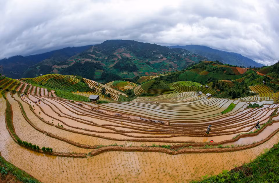 Ruộng bậc thang là một hình thức canh tác độc đáo của đồng bào vùng cao. (Ảnh: Tuấn Anh/TTXVN)