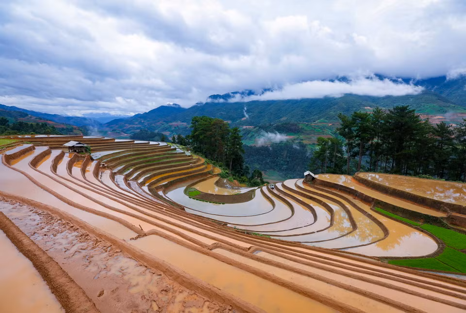 Những thửa ruộng bậc thang mênh mông mùa nước đổ do người Mông nơi đây tạo nên. (Ảnh: Tuấn Anh/TTXVN)