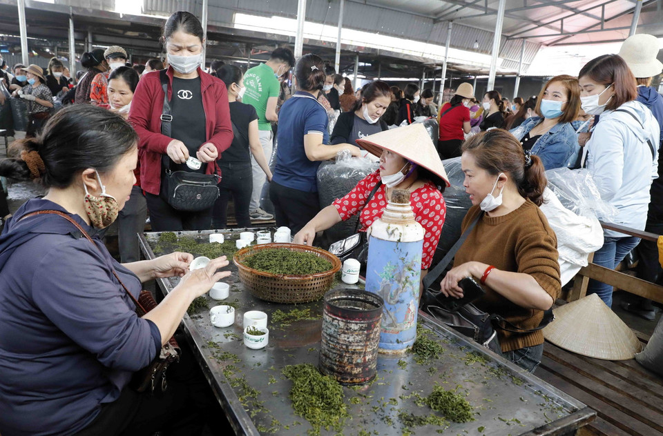  Một bàn pha thử chè. (Ảnh: Trần Việt/TTXVN)