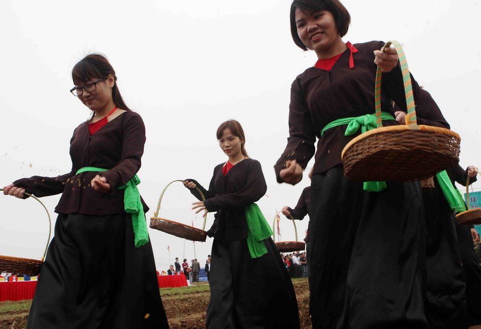 Thôn nữ rắc hạt mầm trên những đường cày, mong cho một năm mưa thuận gió hòa, mùa màng bội thu. (Ảnh: Thanh Tùng/TTXVN)