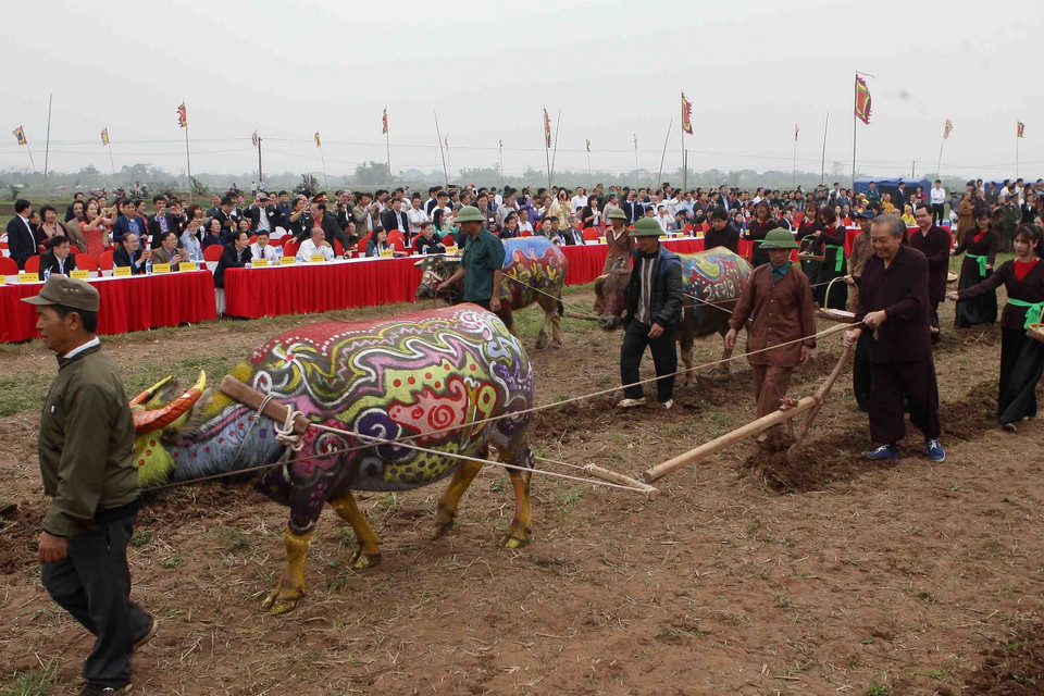 Phó Thủ tướng Thường trực Trương Hòa Bình thực hiện nghi thức xuống đồng, cày ruộng đầu năm trong lễ hội. (Ảnh: Thanh Tùng/TTXVN)