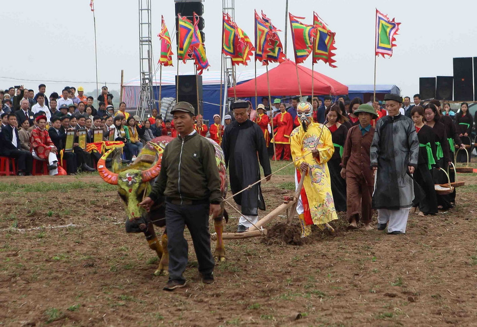 Bô lão đóng vai Vua thực hiện đường cày đầu Xuân trong lễ hội. (Ảnh: Thanh Tùng/TTXVN)