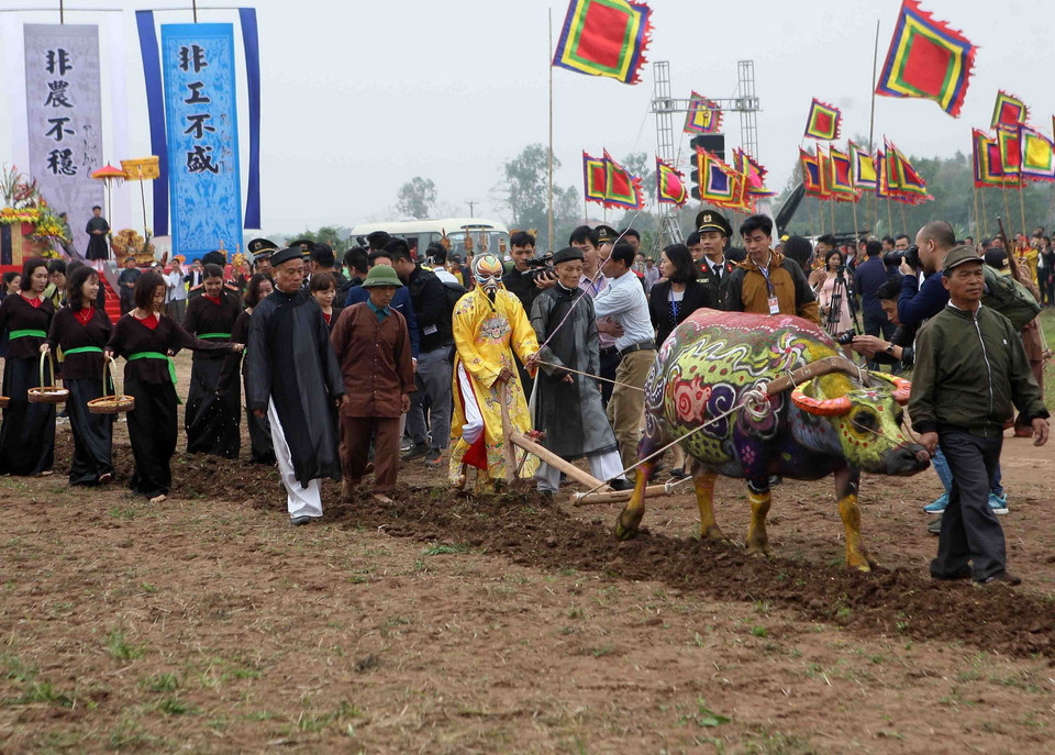 Bô lão đóng vai Vua thực hiện đường cày đầu Xuân trong lễ hội. (Ảnh: Thanh Tùng/TTXVN)
