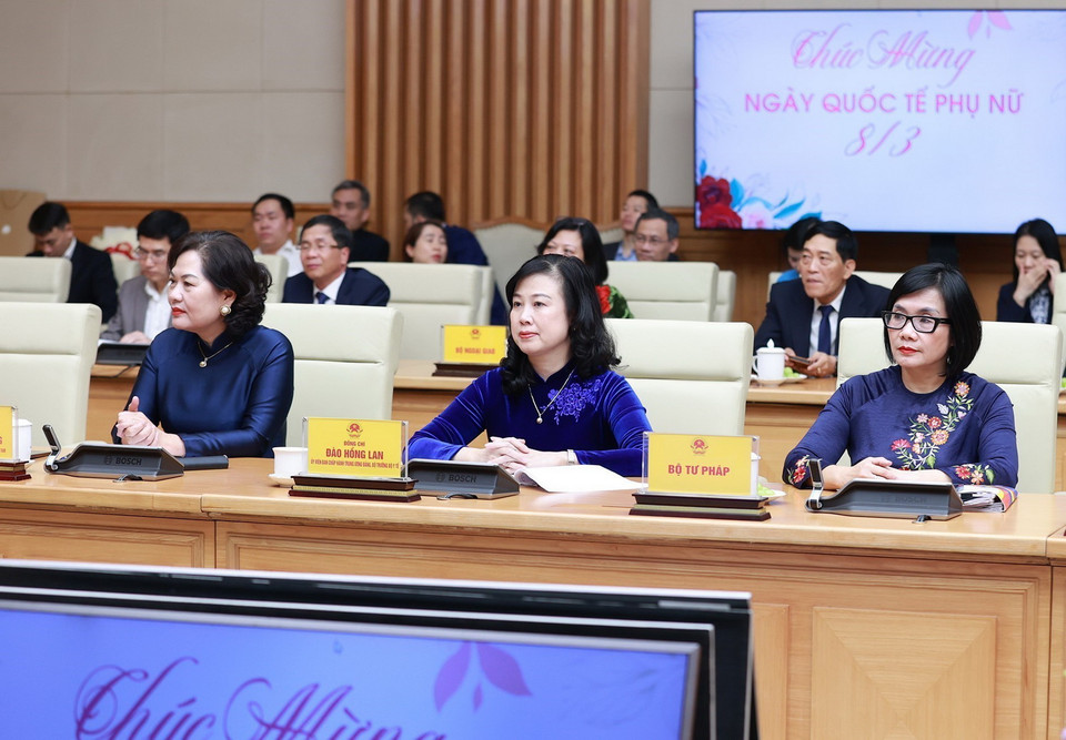  (Ảnh: Dương Giang/TTXVN)