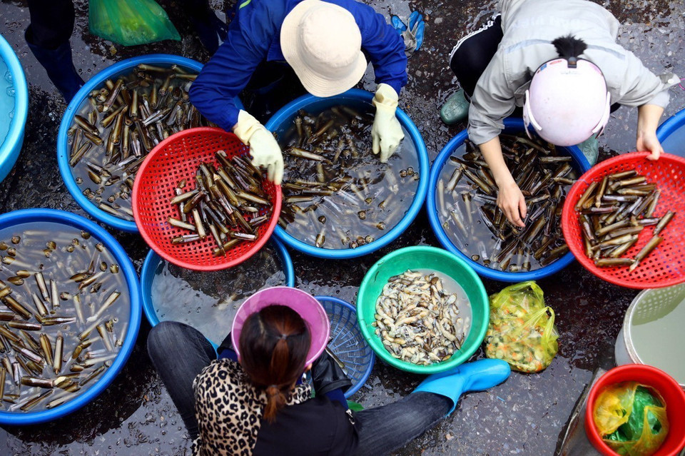 Trước đây, chợ bến Do chỉ chuyên bỏ mối buôn nhưng giờ đây, các tiểu thương vẫn bán lẻ cho người dân. (Ảnh: Huy Hùng/TTXVN)