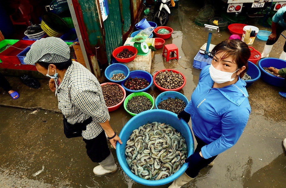 Tại chợ Bến Do, hải sản tươi ngon và giá rẻ hơn các chợ truyền thống. (Ảnh: Lâm Khánh/TTXVN)