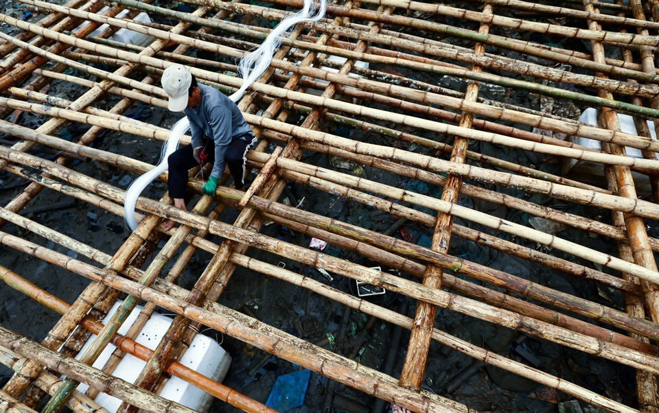 Một ngư dân đan bè để nuôi cá lồng trên vinh Bái Tử Long. (Ảnh: Lâm Khánh/TTXVN)