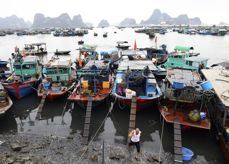 Trước đây khu chợ được gọi là chợ Lội vì tàu thuyền không vào sát bờ được mà chỉ dừng ở ngoài xa nên các tiểu thương phải lội nước ra để nhận hàng. (Ảnh: Huy Hùng/TTXVN)