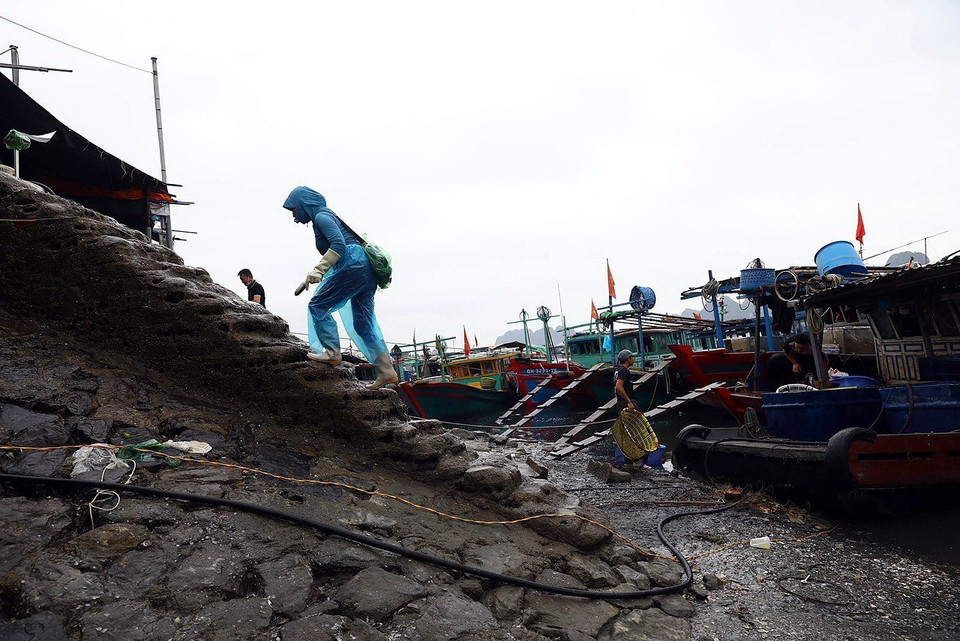 Năm năm gần đây, chợ được xây dựng lại với các bến, bãi tạo điều kiện thuận lợi cho việc vận chuyển, mua bán, người dân không phải lội nước ra xa lấy hàng. (Ảnh: Huy Hùng/TTXVN)