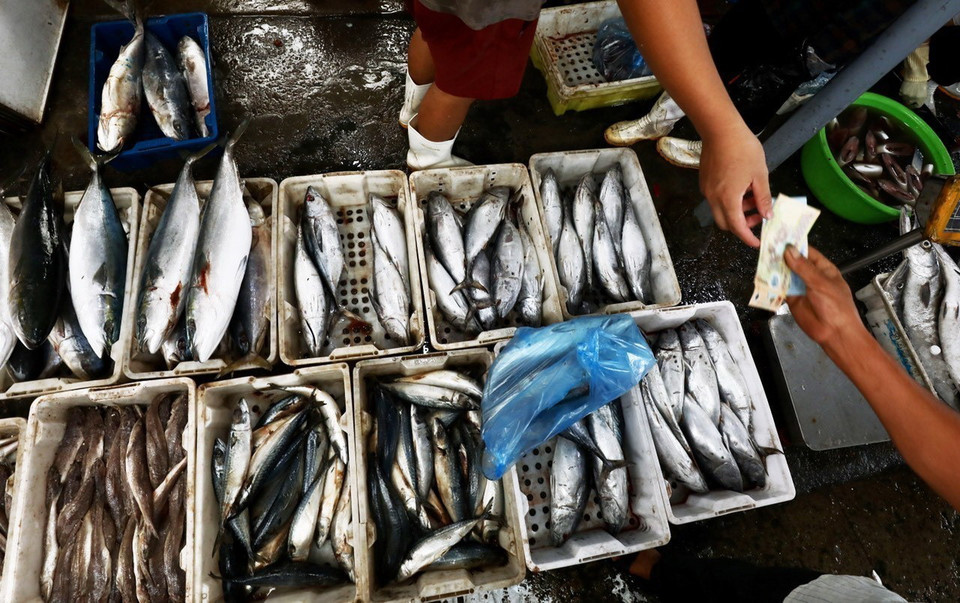 Chợ bày bán đầy đủ các loại cá đặc sản của vùng biển Bắc Bộ. (Ảnh: Lâm Khánh/TTXVN)