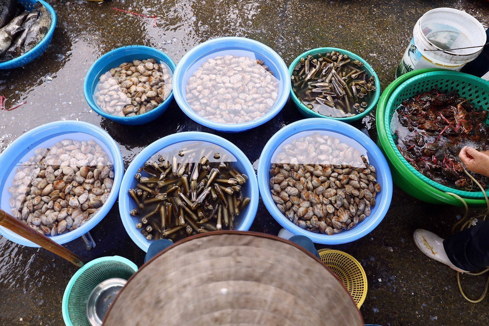 Thời gian từ khi đánh bắt đến lúc vận chuyển vào chợ bán chỉ vài giờ nên hải sản rất tươi ngon, phong phú… (Ảnh: Lâm Khánh/TTXVN)