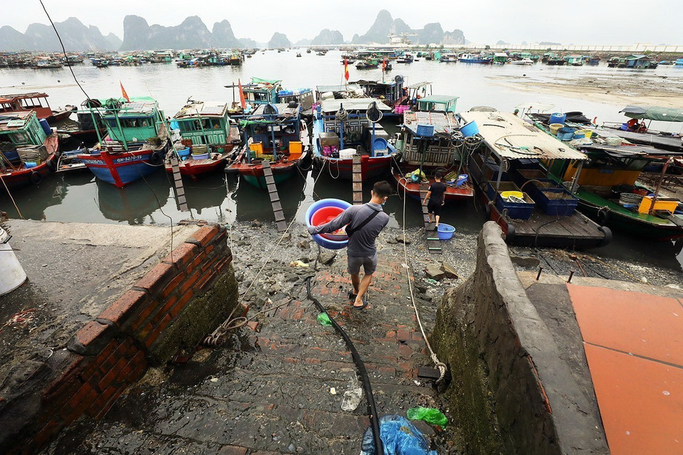 Mỗi ngày các thuyền đều ra khơi từ 11h đêm đến 3-4h sáng, đi xa khoảng 30 hải lý, đánh bắt các loại cá mòi, cá ót rồi chuyển vào chợ bán. (Ảnh: Lâm Khánh/TTXVN)
