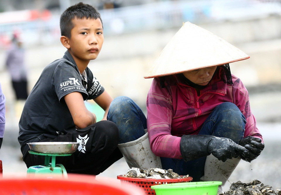 Nhập mô tBên cạnh hải sản tươi sống, chợ cá Bến Do còn là nơi sơ chế hải sản với sản phẩm tiêu biểu là hàu. (Ảnh: Lâm Khánh/TTXVN)