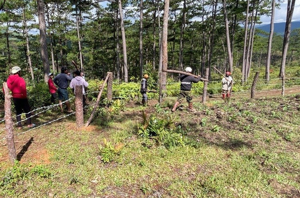Lực lượng chức năng huyện Lạc Dương, giải tỏa 1 khu vườn lấn chiếm đất rừng. (Ảnh: Chu Quốc Hùng/TTXVN)