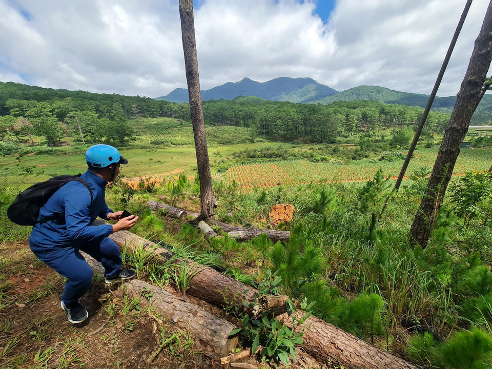 Vườn vươn tới đâu, rừng ở Đạ Sar-Lạc Dương, bị phá tới đó. (Ảnh: Chu Quốc Hùng/TTXVN)
