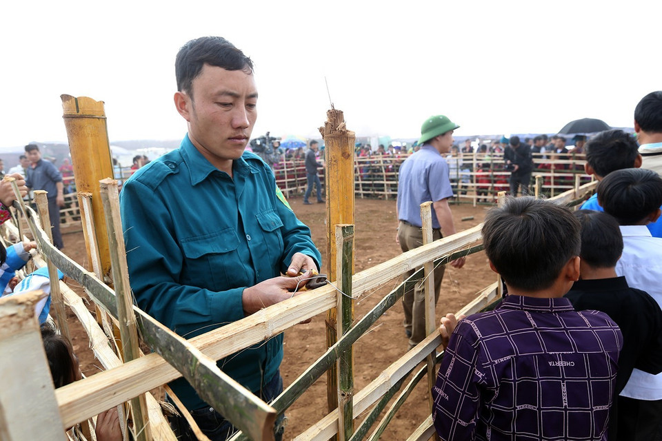 Công tác chuẩn bị nơi chọi dê được tiến hành từ sáng sớm. (Ảnh: Phan Tuấn Anh/TTXVN)