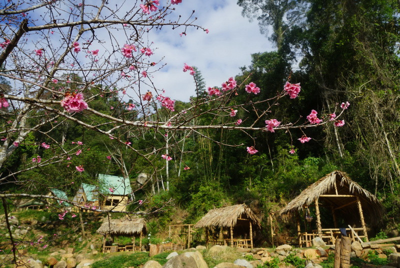 (Ảnh: Đặng Tuấn/Vietnam+)