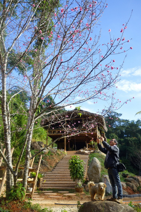 (Ảnh: Đặng Tuấn/Vietnam+)