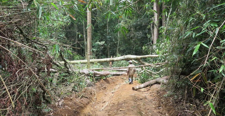 Người dân lập chướng ngại vật ở đầu con đường dẫn vào rừng Kon Plông.