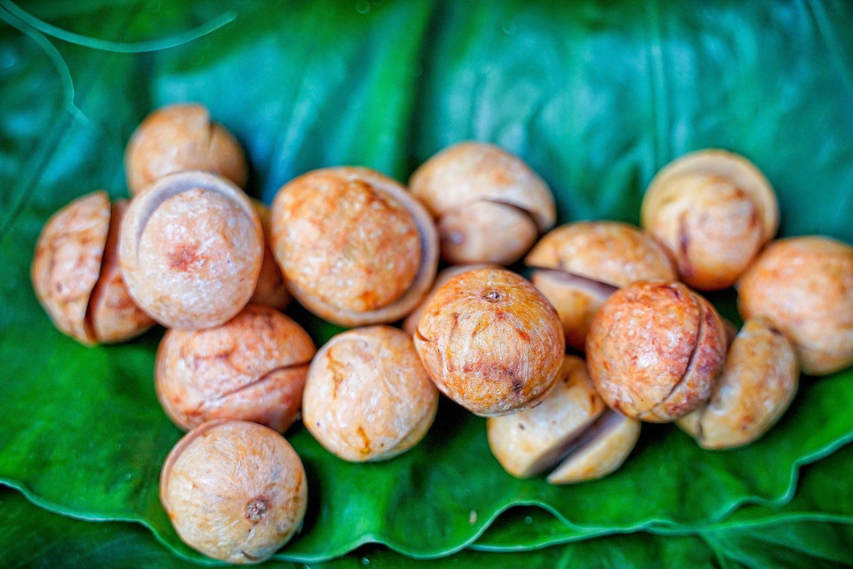 Những trái sấu chín vàng ươm, ngọt thanh, chua nhẹ, giòn thơm đặc biệt là một hương vị gây lưu luyến của mùa Thu Hà Nội. (Ảnh: Khánh Hòa/TTXVN)