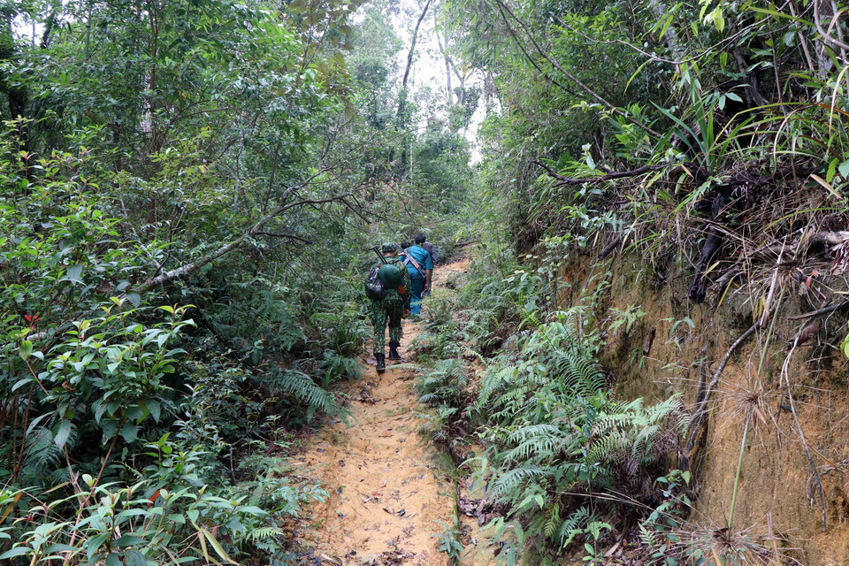 Cán bộ, chiến sỹ Đồn Biên phòng Hương Nguyên, huyện A Lưới, tỉnh Thừa Thiên-Huế, trên đường đi tuần tra hướng đến cột mốc quốc giới 670. (Ảnh: Đỗ Trưởng/TTXVN)