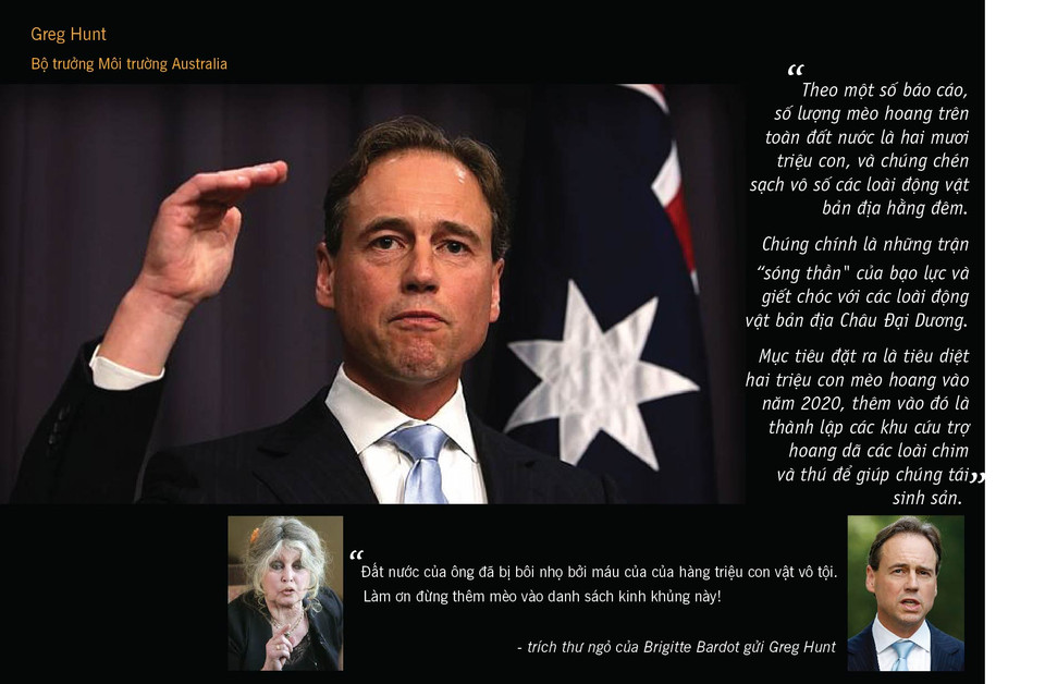 Mèo hoang đã được xác định là thủ phạm chính gây ra tỷ lệ tuyệt chủng cao của các động vật có vú ở Australia, với hơn 10% loài đã bị xoá sổ kể từ khi những người châu Âu đầu tiên đặt chân lên châu lục này hai thế kỷ trước. (Nguồn: News Corp Australia)