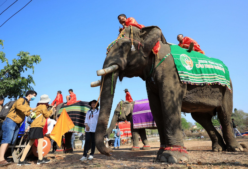 Những hoạt động du lịch thân thiện như chụp ảnh, cho voi ăn được nhiều khách du lịch hưởng ứng. (Ảnh: Nhật Anh/TTXVN)