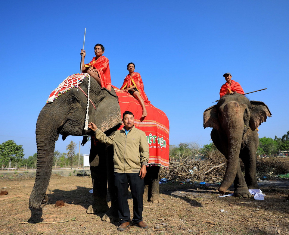 Du khách chụp ảnh chung với những chú voi ở huyện Buôn Đôn. (Ảnh: Nhật Anh/TTXVN)