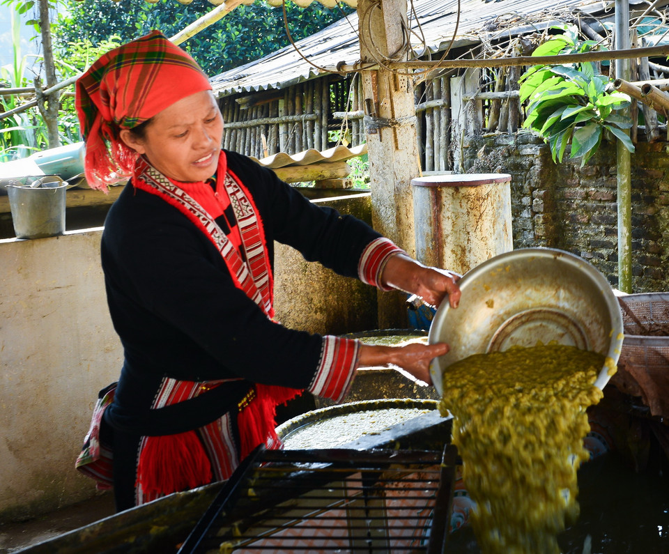  Cây vầu non sau quá trình xử lý nhiều công đoạn, sẽ được nghiền nhỏ, hòa chung với nước. (Ảnh: Nam Thái/TTXVN)