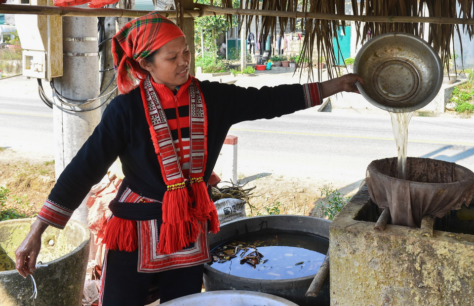  Chất keo kết dính được hòa trộn với nước và bột cây vầu non. (Ảnh: Nam Thái/TTXVN)